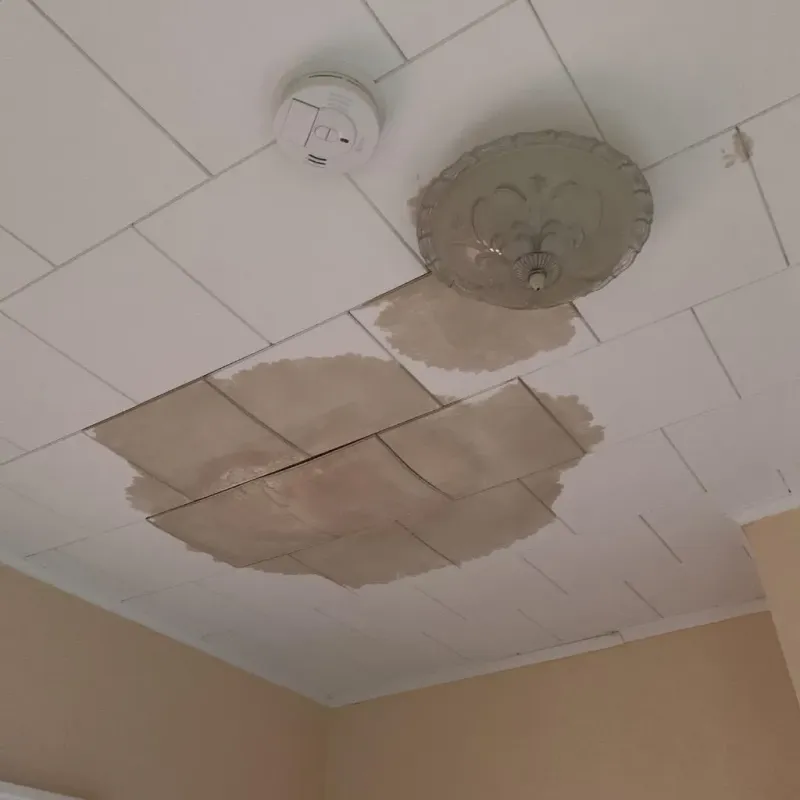 Ceiling Water Damage Repair in Balmville, NY